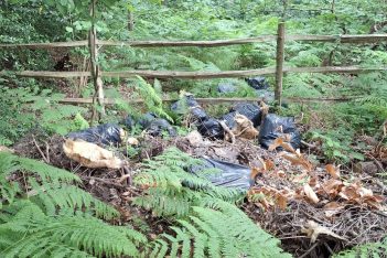 Flytipping Coombe Lane